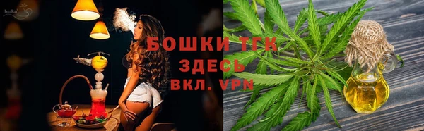 бошки Алексин