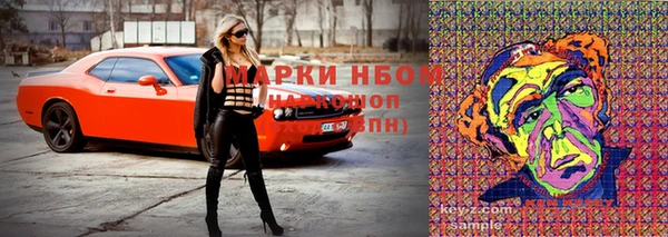 apvp Арсеньев