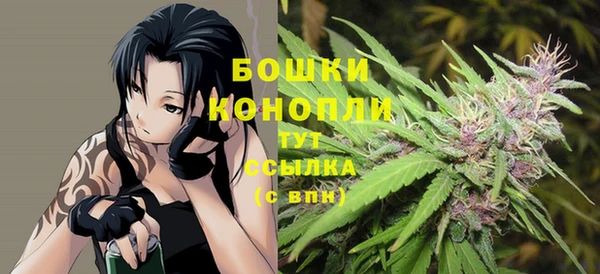 шишки Алзамай