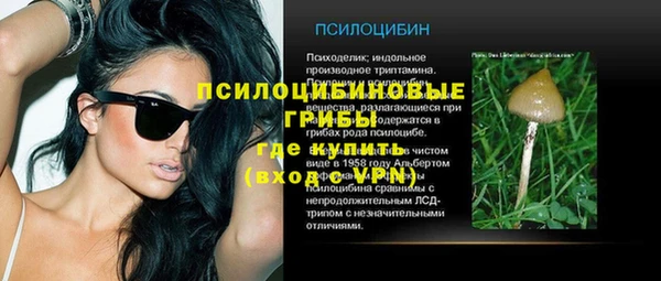 шишки Алзамай