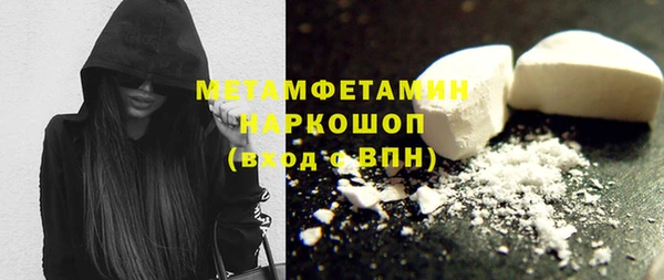 шишки Медногорск